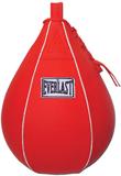 Beginner Speed Bag